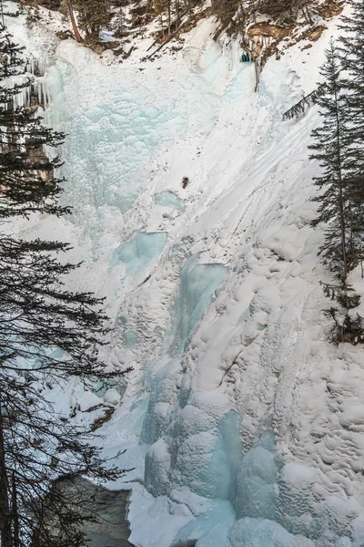 Chemin Menant Cascade Johnston Dans Parc Banff Alberta Canada — Photo