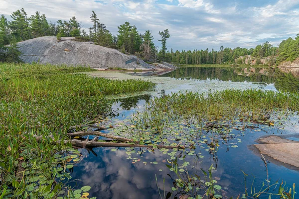 Lago Del Bosque Verano Grundy Lake Park Canadá — Foto de Stock