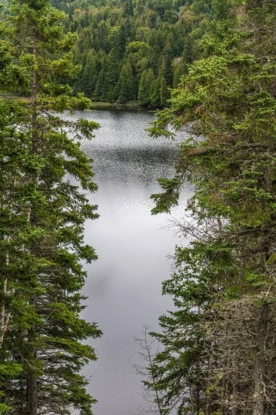 Lago Forestale Nel Parco Provinciale Del Lago Superiore Autunno — Foto Stock