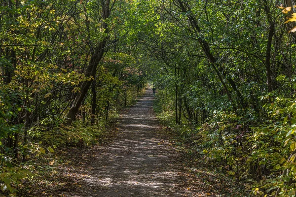 Pake Herfst Bij Toronto Canada — Stockfoto