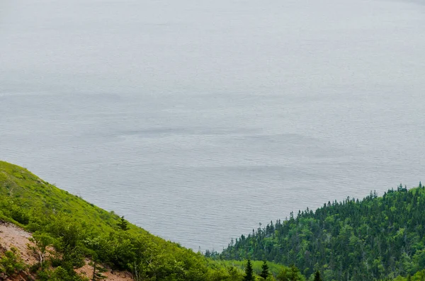 Küste Des Bretonischen Hochlandnationalparks Nova Scotia Kanada — Stockfoto