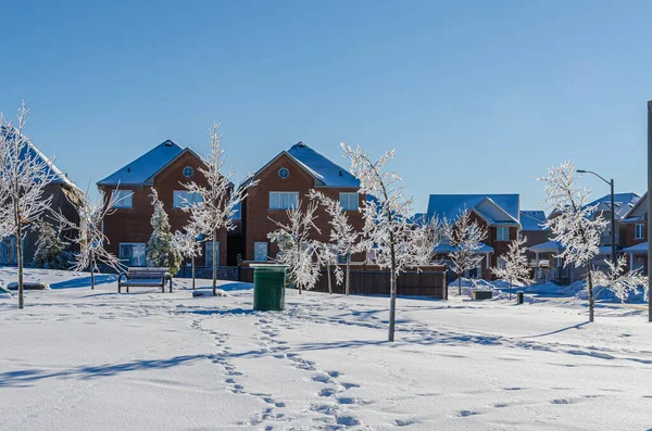 Arbres Rues Ville Canadienne Après Une Pluie Verglaçante — Photo