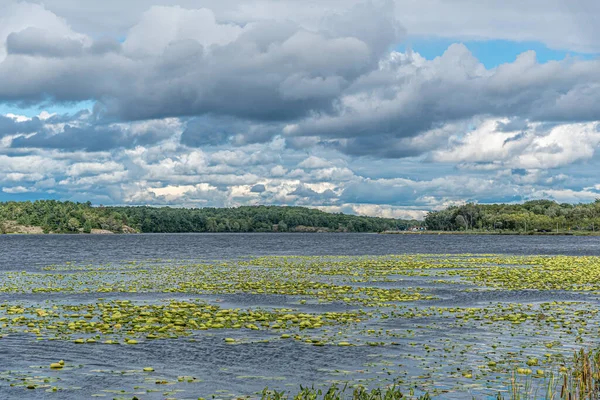 Lago Del Bosque Horario Verano Maskoka Canadá — Foto de Stock