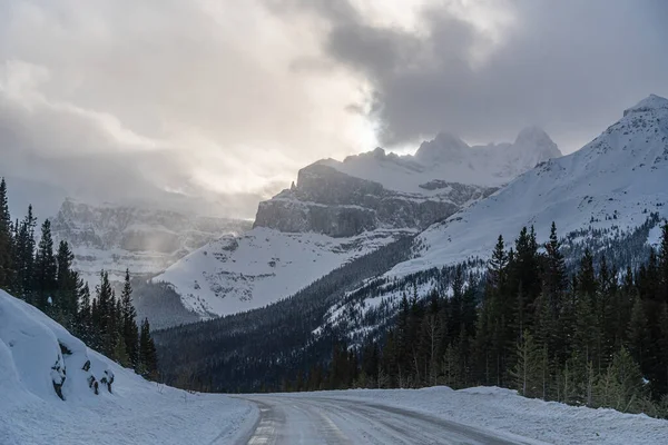 Widok Jasper Park Wzdłuż Pól Lodowych Pkwy Okresie Zimowym — Zdjęcie stockowe