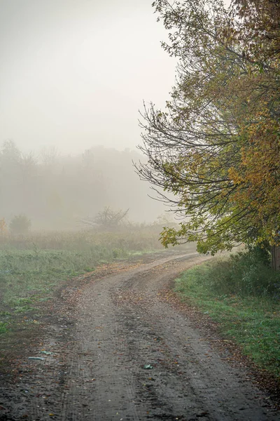 午前中の強い霧と田舎道 — ストック写真