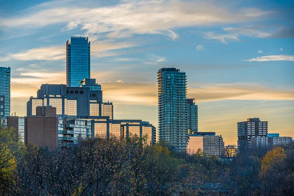 Toronto Gebouwen Park Zonsondergang Tijd Canada — Stockfoto