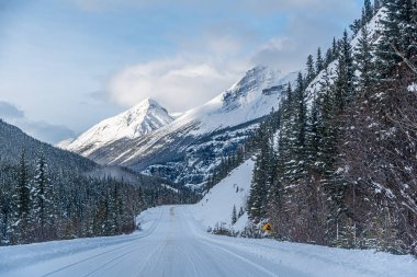 Jasper Park 'ın kışın buz tarlaları boyunca manzarası Pkwy