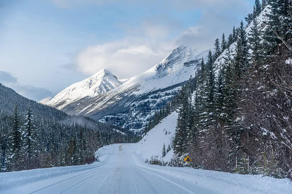 Utsikt Över Jasper Park Längs Icefields Pkwy Vintern — Stockfoto