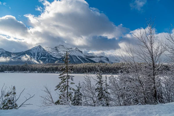 Widok Banff Jasper Park Wzdłuż Pól Lodowych Pkwy Okresie Zimowym — Zdjęcie stockowe