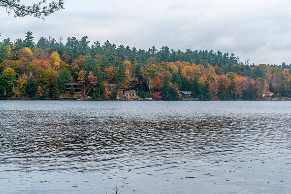 Forest Lake Killarney Provincial Park Fall Time — Fotografia de Stock