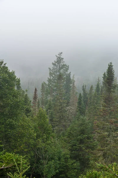 Stark Dimma Skogskullar Nära Superior Lake Kanada — Stockfoto