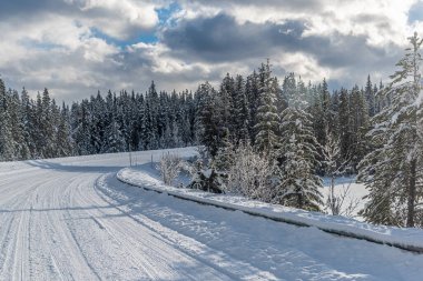 Jasper Park 'ın kışın buz tarlaları boyunca manzarası Pkwy