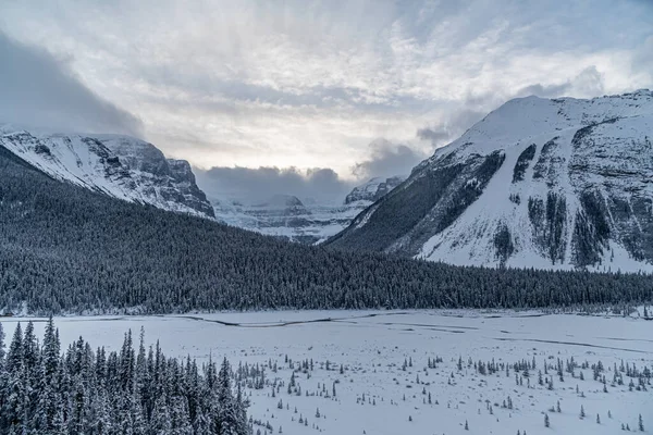 Vistas Banff Jasper Park Largo Los Campos Hielo Pkwy Invierno — Foto de Stock