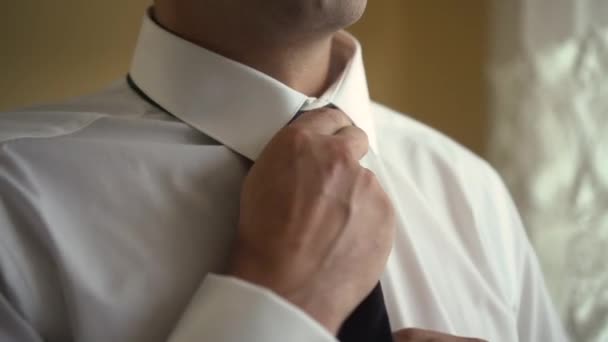 Man adjusts beautiful and stylish tie — Stockvideo