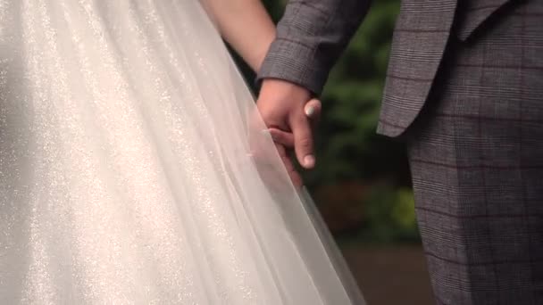 La novia y el novio se toman de la mano mientras caminan en la naturaleza — Vídeos de Stock