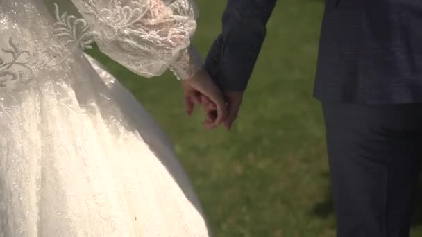 Walk of the bride and groom in nature — Stock Video