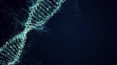 DNA molekülü mavi arka planda döner. Döngüsüz, kusursuz canlandırma.