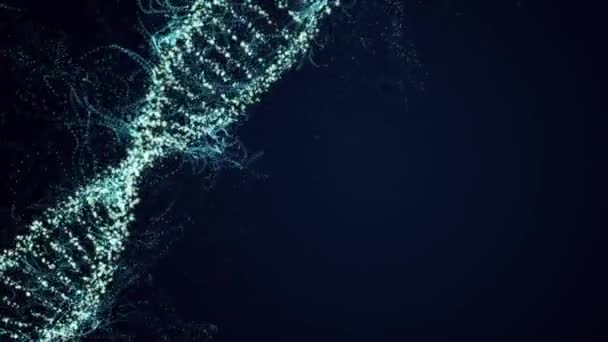 La molecola di DNA ruota su uno sfondo blu. Animazione loop senza soluzione di continuità. — Video Stock