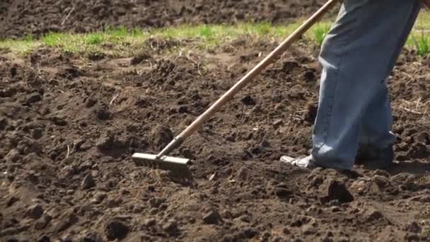 Άνθρωπος αναπτύσσει γη με τσουγκράνα — Αρχείο Βίντεο