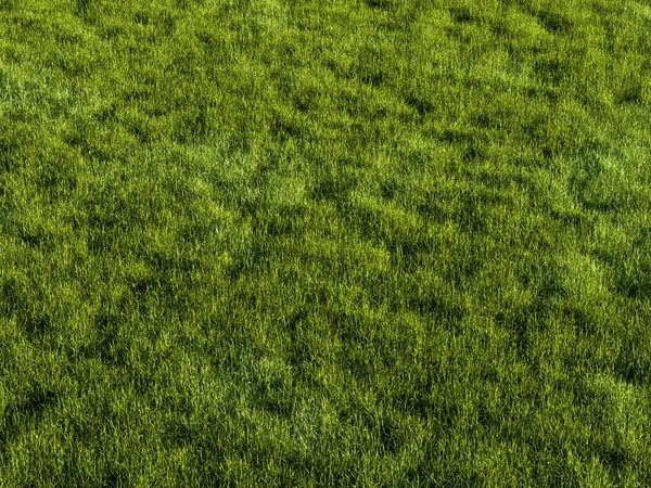 Green Grass Field Background Rendering Illustration — Zdjęcie stockowe