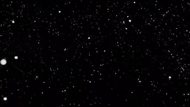 Černém Pozadí Ležel Sníh Nekonečně Smyčková Animace — Stock video