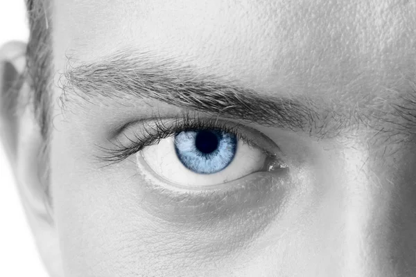Makro mężczyzna niebieski oko, czarno-biały — Zdjęcie stockowe