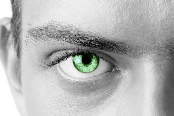 Macro disparo de ojo de hombre verde, blanco y negro — Foto de Stock
