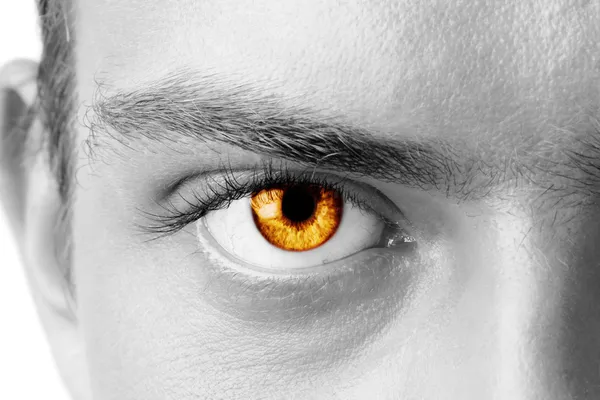 153 Amber Eyes Woman Stock Photos - Free & Royalty-Free Stock