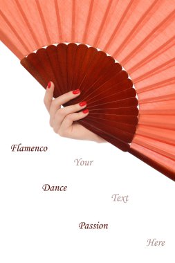 Flamenko aksesuarları