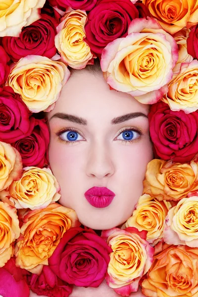 Beauty in roses — Stock Photo, Image