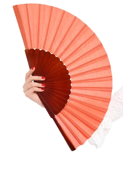 Flamenco accessories — Stock Photo, Image