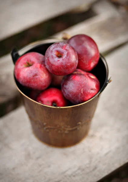 Kýbl jablek — Stock fotografie