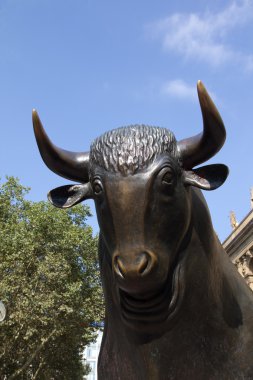 Finansal boğa