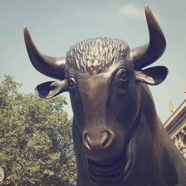 Bull. — Stockfoto