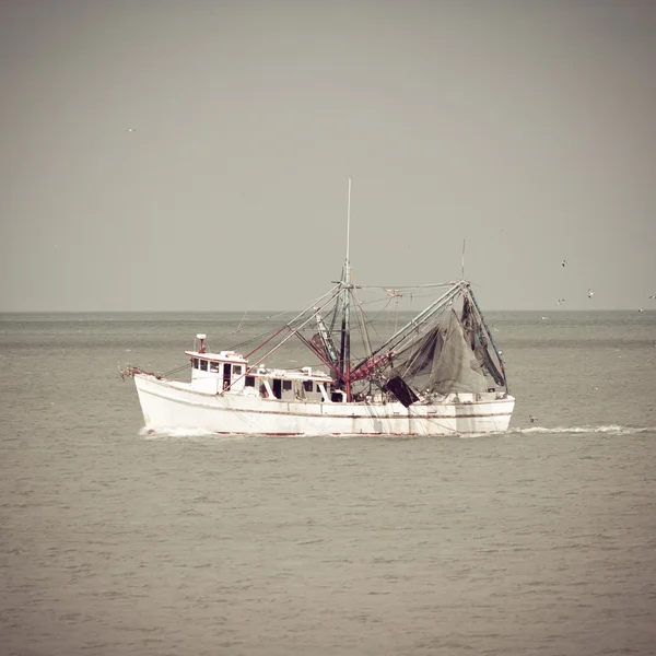 Bateau à crevettes — Photo