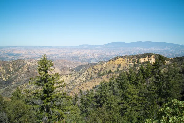 Широким кутом зору з видом дерев і Долина — стокове фото