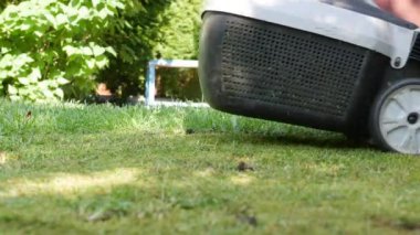 İşçi çim biçmek için elektrikli çim biçme makinesi kullanıyor. Bahçe işleri ve ekipmanlar. 