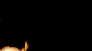 Siyah arka plan üzerine gerçek yangın.