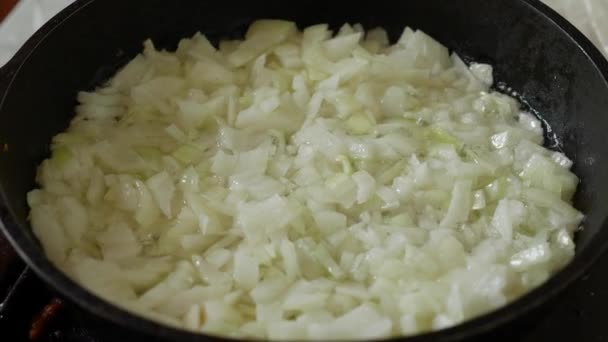 Tavada yağlı soğan kızartıyorum.. — Stok video