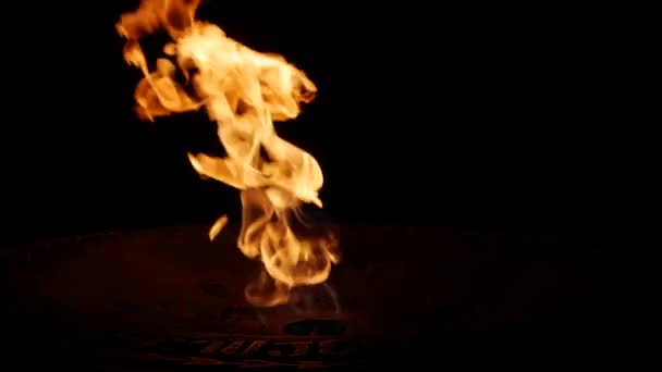 Eternal flame. Memorial for the dead soldiers — Stock Video