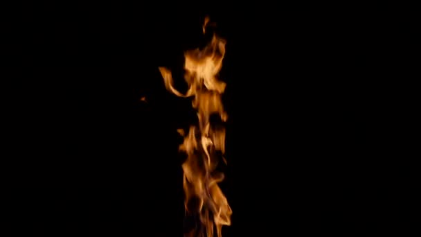 Real fire on black background. — Stock Video