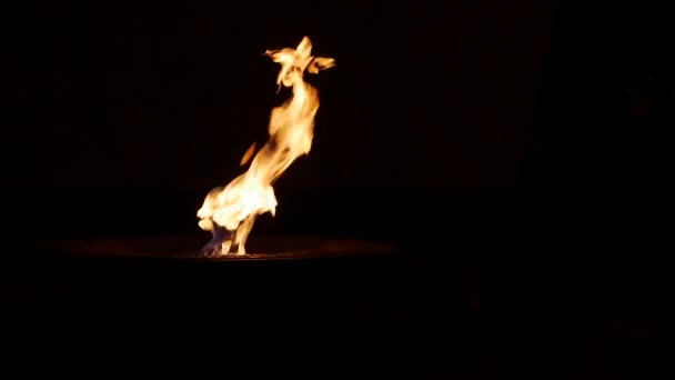永恒的火焰阵亡将士纪念碑 — 图库视频影像