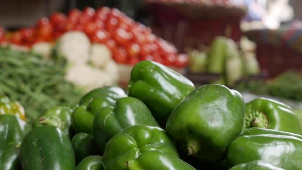 Ekologické zelené papriky a jiné zeleniny na prodej na trhu zeleniny, zblízka. Prodávat zeleninu v obchodě. Čerstvý pepř v stánku se zeleninou. — Stock video