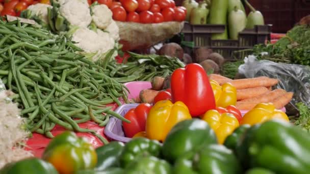 Ekologické papriky a jiná zelenina na prodej na trhu zeleniny. Prodávat zeleninu v obchodě. Čerstvý pepř v stánku se zeleninou. Videoklip