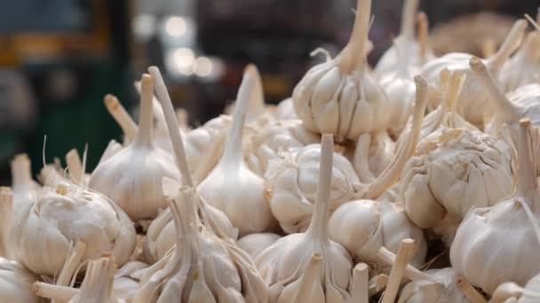 Un montón de ajo orgánico en un mercado. Manojo entero de ajo fresco colocado en el mercado. Ingrediente culinario picante. — Vídeo de stock