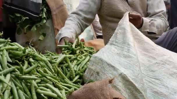 Farmáři třídí a balí hrášky do lusků na místním trhu. Prodej zeleniny na trhu s potravinami. Raw green pea pods at the greengrocers stall — Stock video