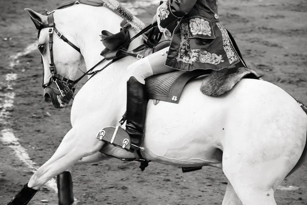 漂亮的白马在斗牛场，斗牛在西班牙，黑色和 — 图库照片