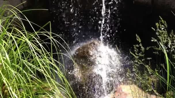 Νερό που πέφτει σε μια πέτρα — Αρχείο Βίντεο