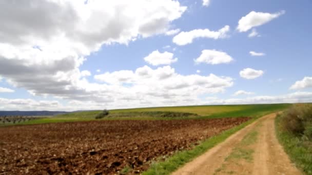 Landbouw veld, milieu concept — Stockvideo