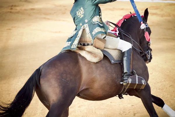 Matador ve at sırtında da bullring — Stok fotoğraf
